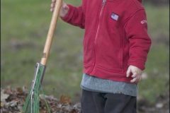 Young boy helps rake leaves. My Final Photo taken  Nov. 21, 2004.Photo Copyright 2004 Gary Gardiner. Not to be used without written permission detailing exact usage. Photos from Gary Gardiner, may not be redistributed, resold, or displayed by any publication or person without written permission. Photo is copyright Gary Gardiner who owns all usage rights to the image. Low resolution photo with watermark.