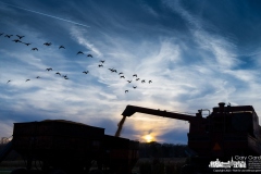 Kevin Scott dumps corn into a wagon as he works towards darkening skies at sunset running the combine at the Braun Farm. My Final Photo for November 24, 2023. 
