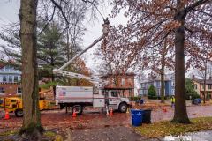 A city contractor cuts overhanging limbs from trees near power lines on West College Avenue to eliminate flickering lights caused by branches brushing the lines. My Final Photo for November 21, 2023. 