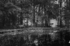 inniswood-toad-pond-2022-10-15-80654.jpg