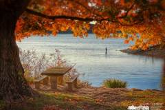 red-bank-fishing-2022-10-15-80182.jpg
