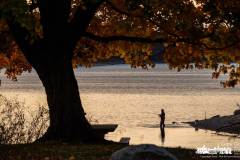 red-bank-sunrise-fishing-2022-10-15-79739.nef