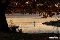red-bank-sunrise-fishing-2022-10-15-79746.nef
