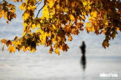 red-bank-sunrise-fishing-2022-10-15-79888.nef
