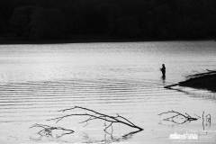 red-bank-sunrise-fishing-2022-10-15-79907.nef