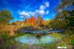 sisters-garden-inniswood-2022-10-15-80225.jpg