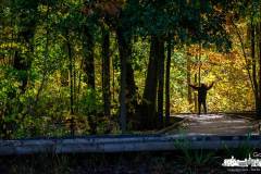 toad-pond-silhouette-inniswood-2022-10-15-80119.nef