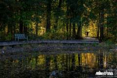 toad-pond-silhouette-inniswood-2022-10-15-80134.nef