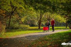 walkway-liighting-garden-inniswood-2022-10-15-80263.jpg