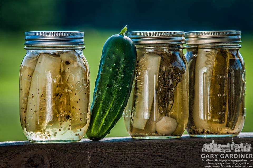 Jars of pickles fresh from the canning bath sit on a porch railing before going into storage for the winter. My Final Photo for Aug. 25, 2013.