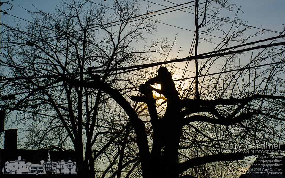 A city work crew removes branches from the trees along the south side of West Main Street near Uptown to keep new growth out of overhead electrical wires. My Final Photo for Feb. 4, 2015.