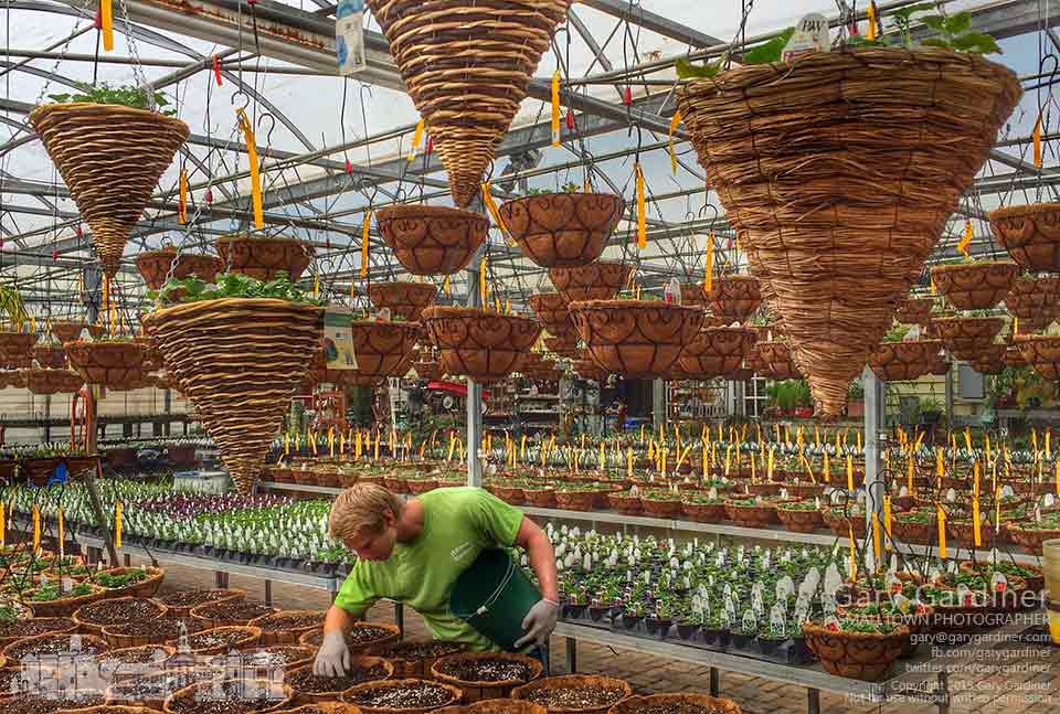 First day of spring plantings
