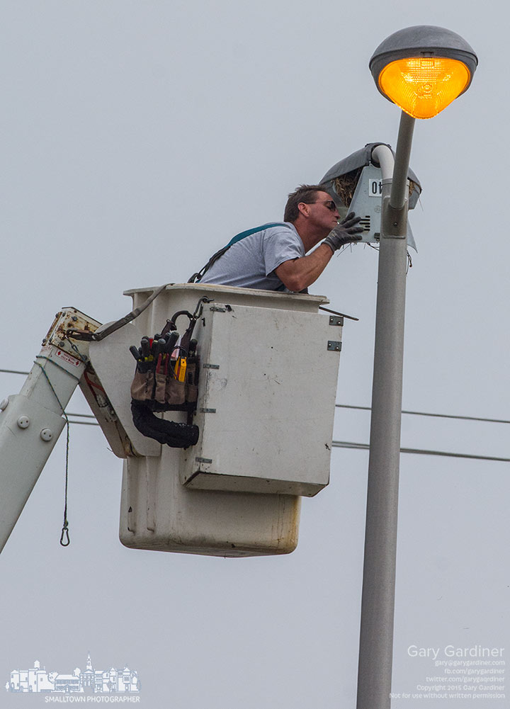 An electrician inspects the interior of a parking lot light a Kroger before removing half a dozen handfuls of bird nests and droppings from inside the broken fixture. My Final Photo for July 13, 2015.