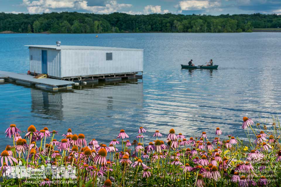 Canoeing past the coneflowers