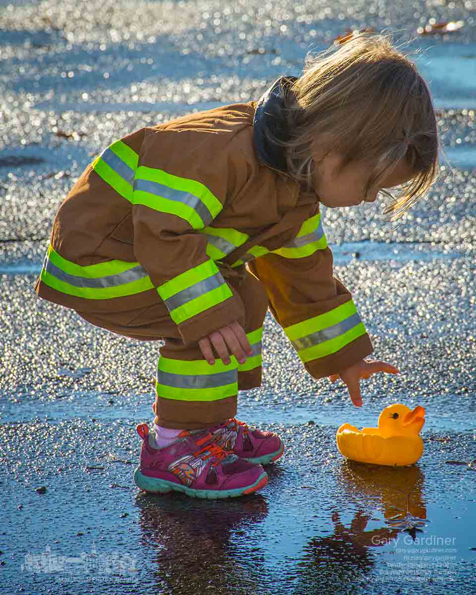 Two-year-old Emlyn dressed in her fire fighter costume for Halloween  reaches for one of the yellow rubber duckies placed in the puddles of the Uptown Westerville Farmers Market where rain greeted vendors and customers on the final market of the season. My Final Photo for Oct. 28, 2015.