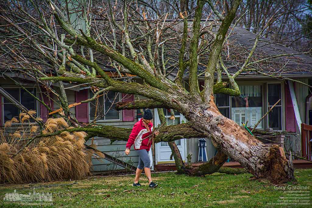 Neighbors help a woman clear small debris from her front yard were a tree toppled during a windy and rain storm damaging the house. My Final Photo for Dec. 29, 2015.
