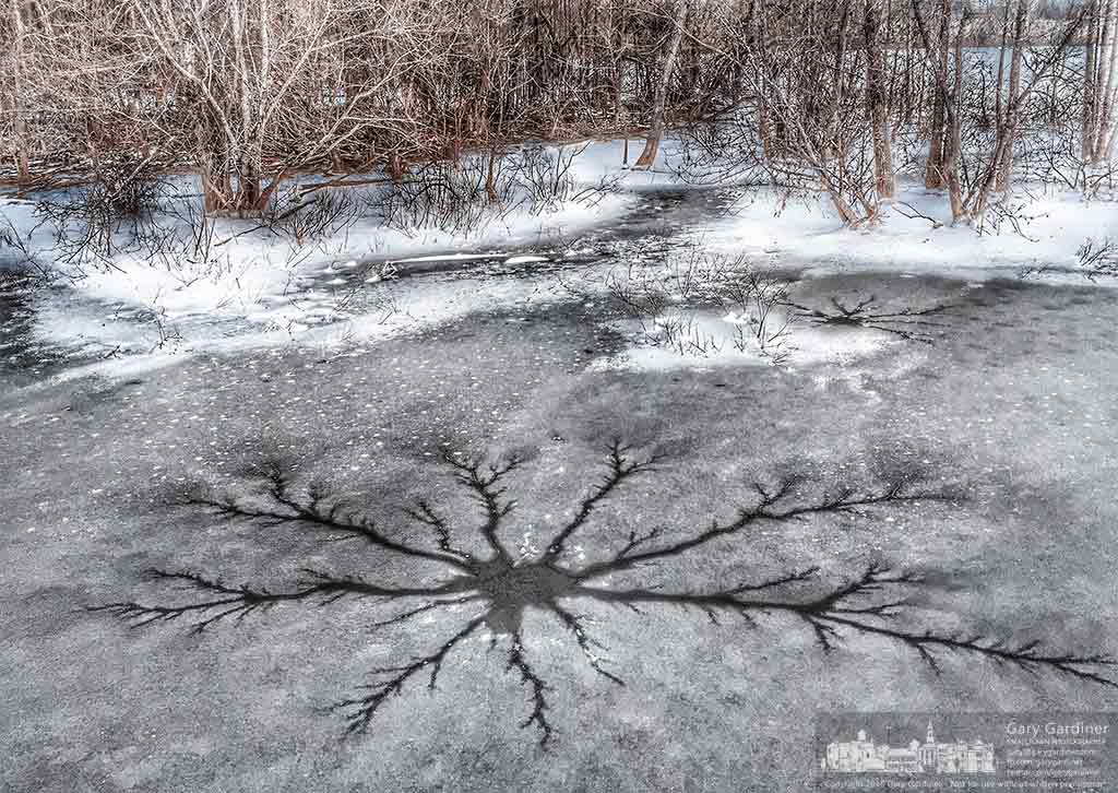 Fractal cracks run from a hole in the ice on Hoover Reservoir at the boardwalk in Galena as the temperatures begin to warm after a week of freezing temperatures. My Final Photo for February 18, 2016.