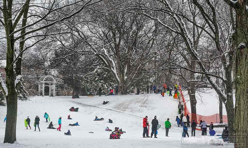 A broad collection parents and children of all ages gathered at the sledding hill at Alum Creek Park North when an overnight snow forced school closings. My Final Photo for February 16, 2016.