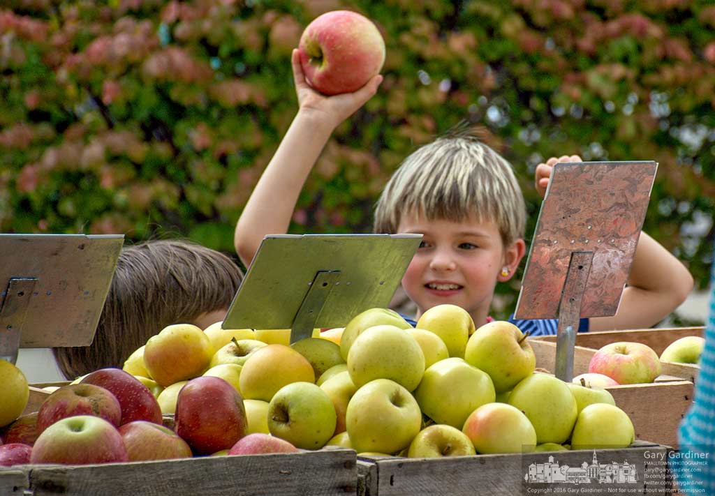 A youngster celebrates his selection of an apple from the display of Branstools Orchard at the Uptown Westerville Farmers Market. My Final Photo for August 24, 2016.