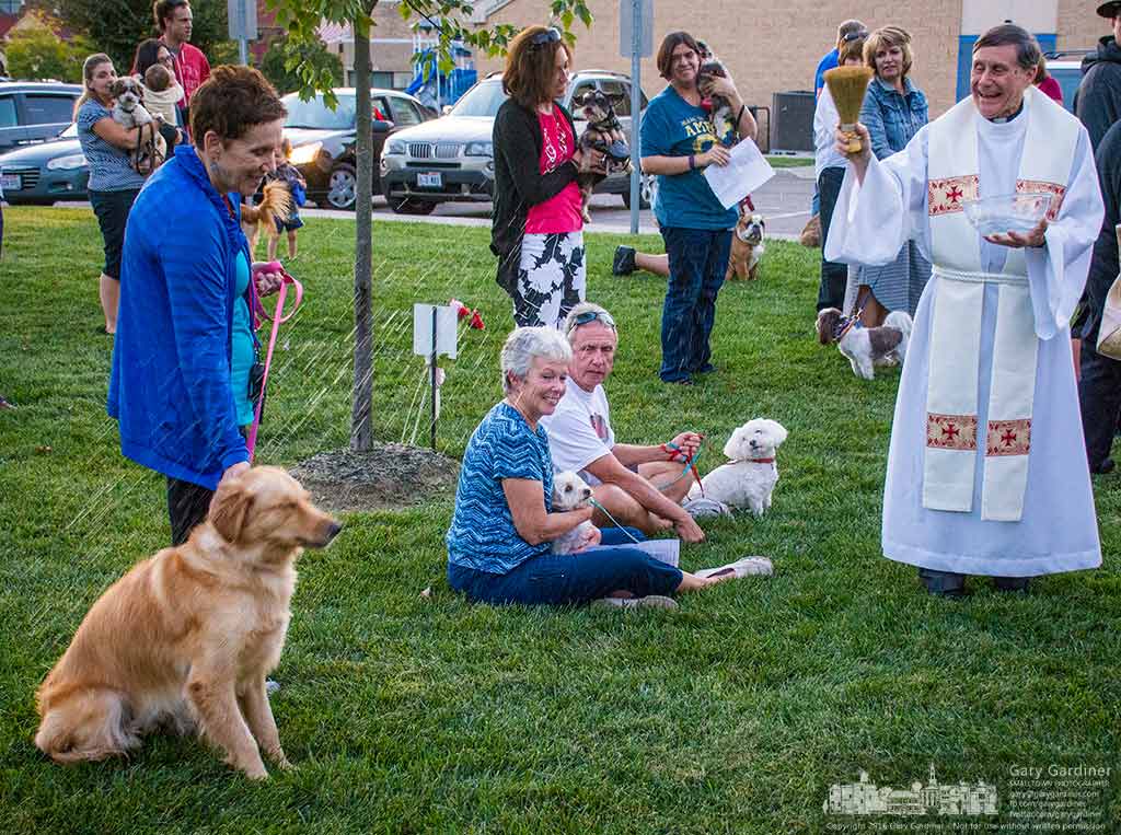 St. Francis blessing
