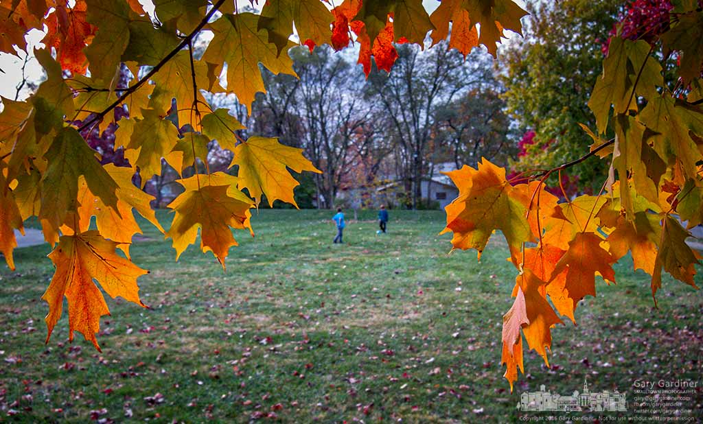 Two boys play a pickup soccer match behind a curtain of colorful maple leaves on the field at Governors Park in Westerville. My Final Photo for Nov. 15, 2016.