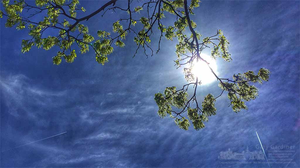 Spring morning on the farm