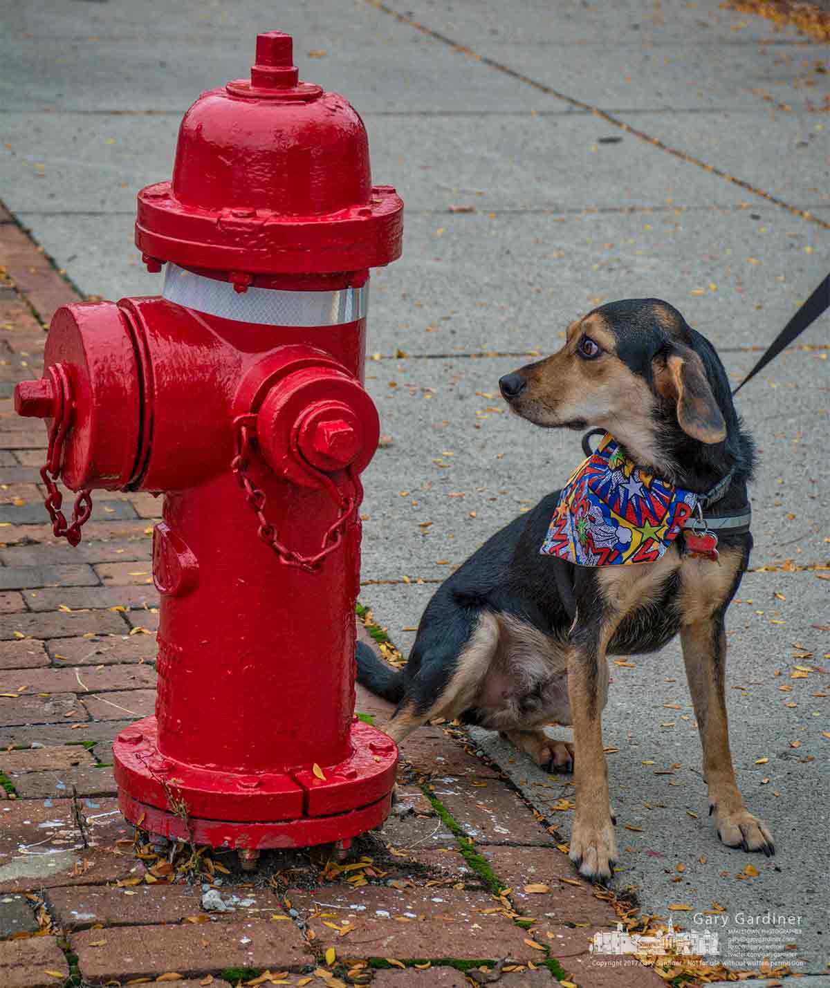 Temptation by the hydrant