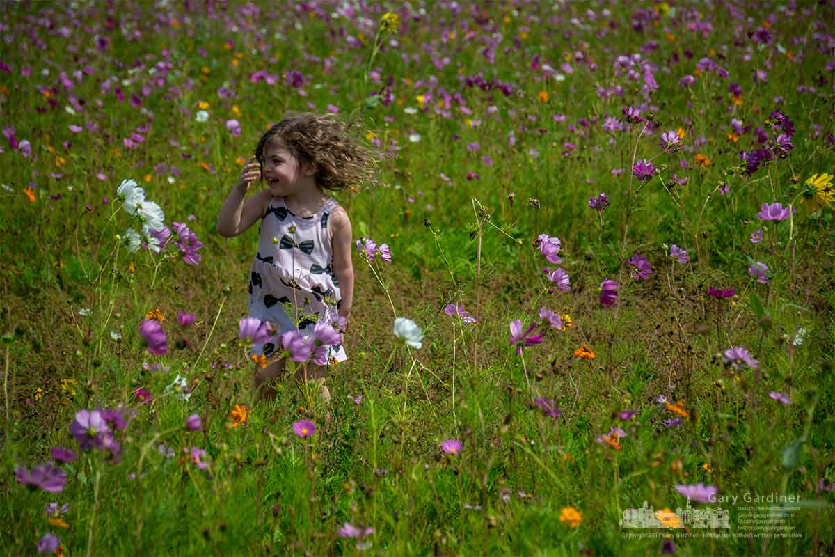 Fun in a field of flowers