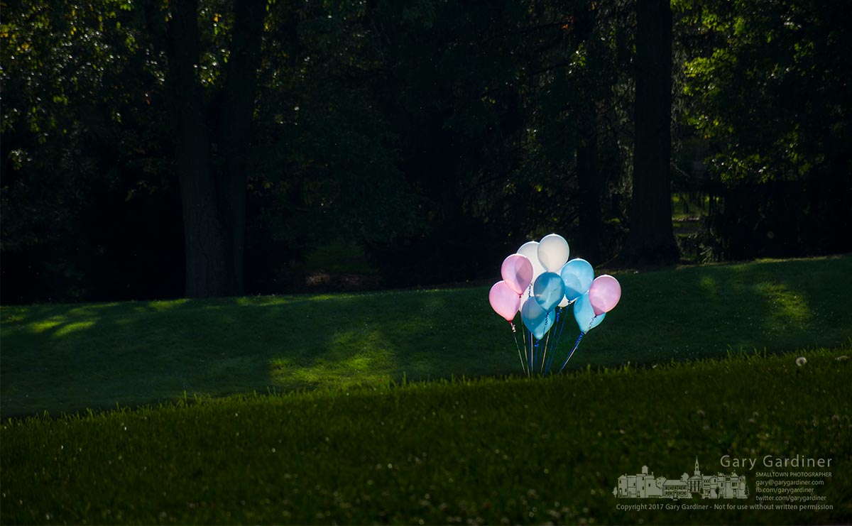 Balloon bundle for photo shoot