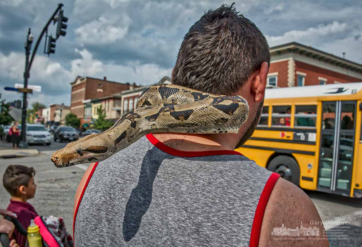 Out for a family walk
