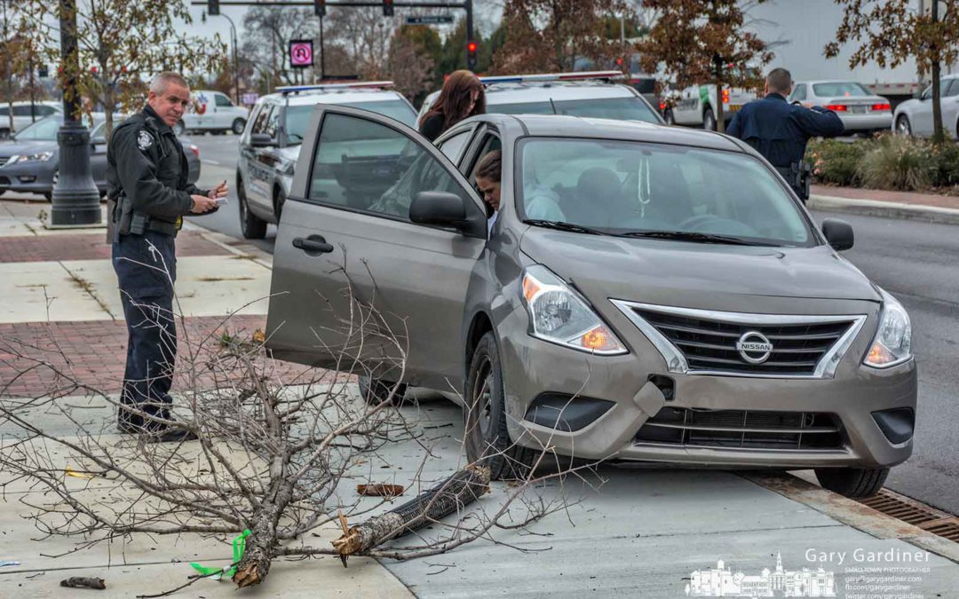 State and Schrock car crash topples sidewalk tree