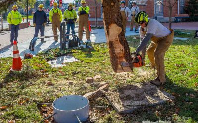 New courtyard for an old tradition