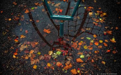 Too wet and cold for kids to enjoy