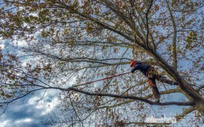 Reaching dangerous heights