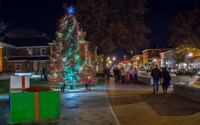 Westerville Courtyard holiday tree is lit
