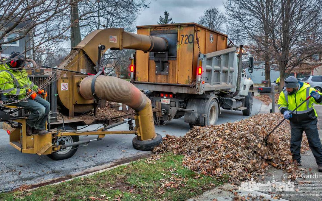 Leaf vacuum professionals