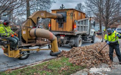 Leaf vacuum professionals