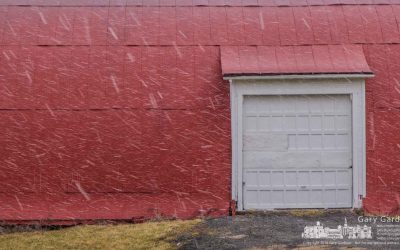 Afternoon snow at the farm