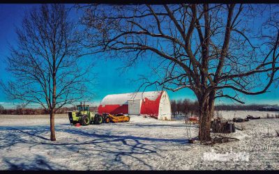 Cold tractor, cold barn, cold bees.