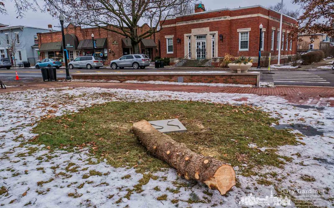 All that remains of the holiday spirit