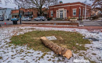 All that remains of the holiday spirit