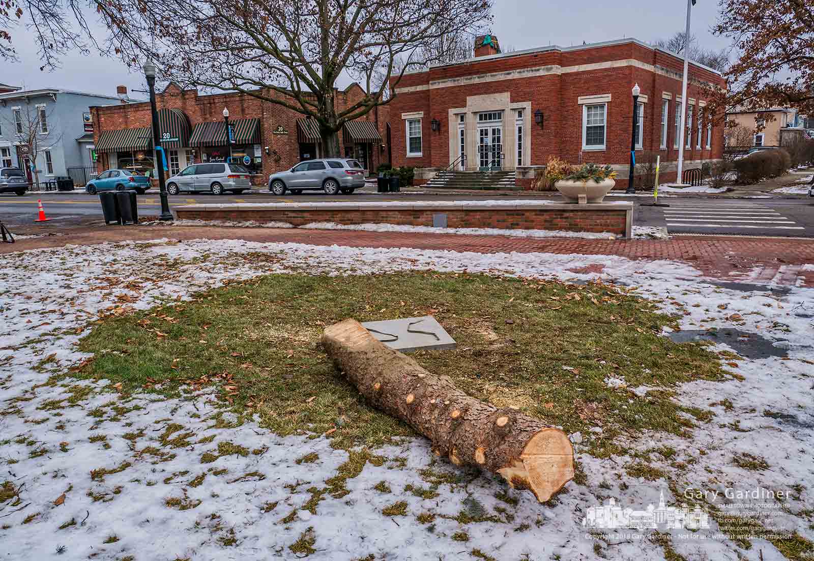 The six-foot-long stump of the holiday tree at city hall lies on the courtyard waiting to be hauled away to be recycled as the city completes returning the greenspace to its normal configuration. My Final Photo for Jan. 9, 2018.