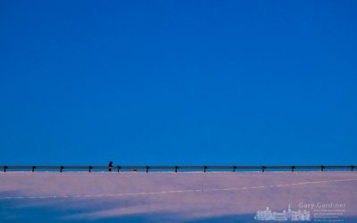 A very cold afternoon walk