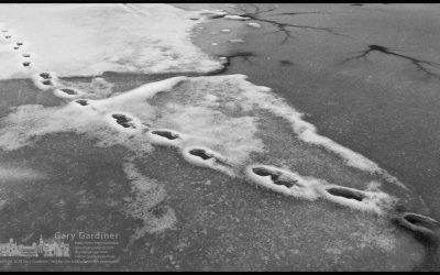 Dangerous footsteps