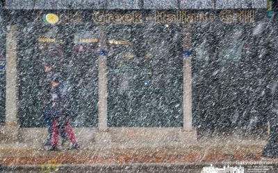 Snow Squall Obscures the Afternoon