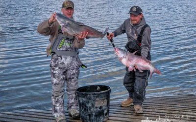 Catfishing Winners