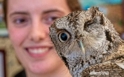 One-Eyed Owl Wows Students