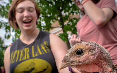 Touching The Turkey