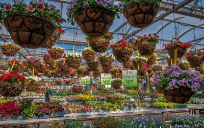 It’s Annual Planting Time