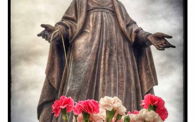Flowers for Mary